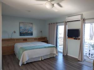 阿兰瑟斯港Bay Tree D2的一间卧室配有一张床和一台平面电视