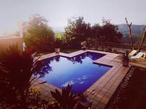 马尼萨莱斯Cabaña entre las montañas Tierra Mia - Eje Cafetero的庭院里的一个蓝色海水游泳池