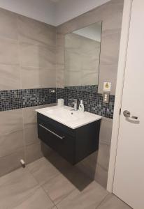 格莱诺基Mountain View Studios Glenorchy的浴室配有盥洗盆和带镜子的淋浴