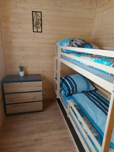SpytkowiceChatka pod orzechem的小木屋内的双层床,设有床头柜
