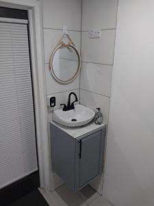 Hyde ParkSamm's Studio Apartment的一间带水槽和镜子的浴室