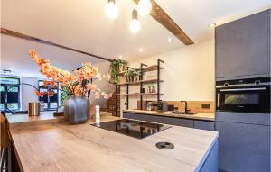 鲁尔蒙德Gorgeous Home In Roermond With Kitchen的厨房配有水槽和炉灶 顶部烤箱