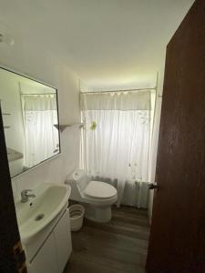 安加罗阿Casa familiar en sector residencial "HARE TOKE"的一间带卫生间、水槽和镜子的浴室