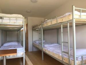 NarstKayak Camp, Tsonjinboldog的客房设有三张双层床和一张书桌。