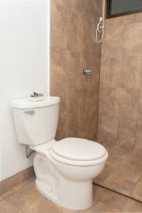 Santiago EsteCasa Carmen的浴室配有白色卫生间和淋浴。