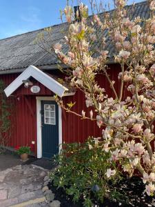 FörslövFogdarps B&B -Eget gästhus-的一座红色的房子,前面有一棵开花的树