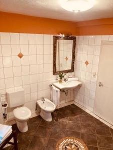特劳恩施泰因罗森海默霍夫酒店的一间带水槽、卫生间和镜子的浴室