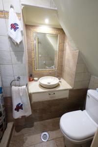希俄斯Castle Maisonette的一间带水槽、卫生间和镜子的浴室