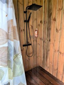 PalukülaPaluküla Glamping Kase的木制墙壁上的淋浴和浴帘
