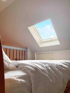 Itoshimaitotoi 糸島的一间卧室配有一张带天窗的大床