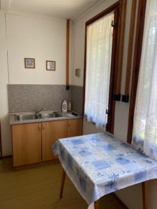 布赫洛维采Chata CONDI的厨房配有桌子、水槽和窗户