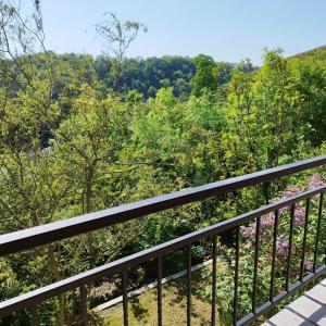 艾瓦耶le gîte des remparts的阳台享有树木和灌木丛的景色。