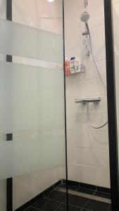 斯克伦达Skrunda Apartments Elvira的浴室里设有玻璃门淋浴