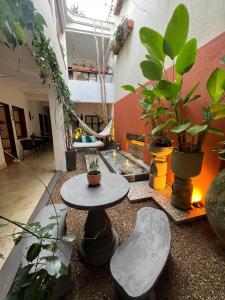 卡利Leclerc Hotel Boutique Cali Granada的一间房间,配有一张桌子和一束植物