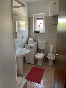 茨里克韦尼察Apartment Kati的一间带水槽、卫生间和镜子的浴室