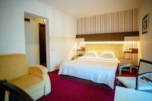 伯伊莱海尔库拉内Bacolux Afrodita Resort & SPA, Herculane的配有一张床和一把椅子的酒店客房