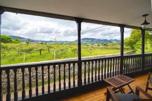 比利亚维西奥萨Casa PedroArias Rodiles的客房设有一个享有葡萄园美景的阳台。