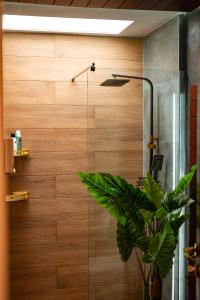 卡尼索Madeira Loft II - FREE CAR的玻璃门和植物的淋浴