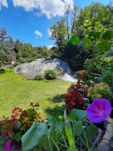 ŠipovoJanjske otoke - smještaj na selu (Milorad Piljić)的花园内种有鲜花,后方设有瀑布