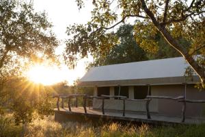 侯斯普瑞特MILIMA Big 5 Safari Lodge的阳光下田野上的建筑