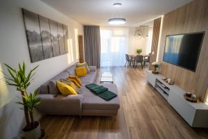 普雷绍夫Po City Newly Built Apartment的带沙发和平面电视的客厅
