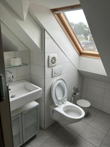 卢塞恩M-Hostel的一间带水槽和卫生间的浴室以及窗户。