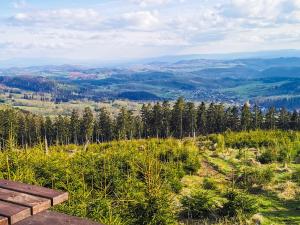索克莱克Sowie Chatki - domki z widokiem na Góry Sowie的坐在草山顶上的木凳