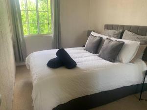 金斯顿Plush 2 bedroom apartment Kingston的一间卧室配有一张带蓝色枕头的大床