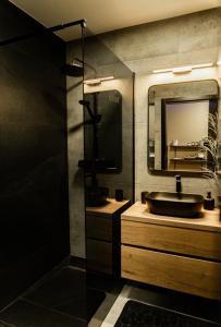 锡萨克Black Velvet Apartman的一间带水槽和镜子的浴室