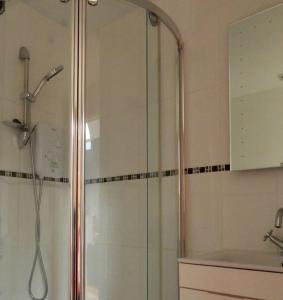 特兹西尼德Nature's Oasis: Pet-Friendly Snowdonia Cottage的浴室里设有玻璃门淋浴