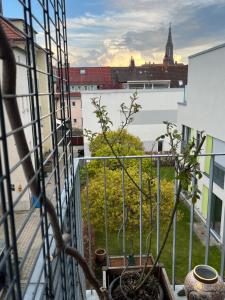乌尔姆Schönes Zimmer in zentraler Lage的阳台享有城市美景。