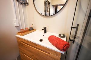 阿佩特隆Tiny Zwick的一间带水槽和镜子的浴室