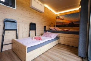阿佩特隆Tiny Zwick的小屋内设有一间带两张双层床的卧室