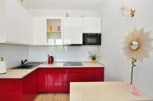 托伦Apartament Chełmiński的红色的厨房,配有白色橱柜和红色水槽