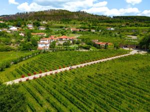 AncedeLavandeira Douro Nature & Wellness的享有葡萄园和村庄的空中景致