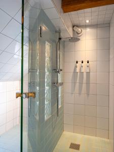特鲁萨Villa Vega的一间带淋浴的浴室,配有2瓶