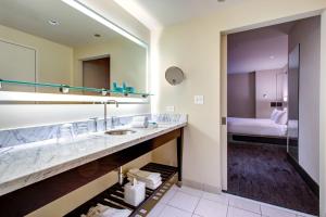 芝加哥W芝加哥城市之心酒店 的一间带水槽和大镜子的浴室