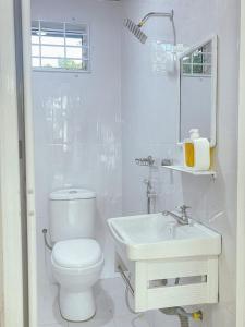 Kampong Haji MusaKota Bharu RS Desa Roomstay的白色的浴室设有卫生间和水槽。