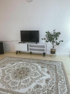 Kampong Haji MusaKota Bharu RS Desa Roomstay的一间带电视和地毯的客厅