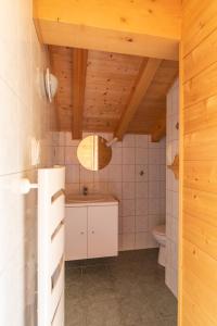 莱热Chalet Le Lapye的一间带水槽和卫生间的浴室