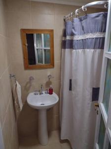 迈普Departamento céntrico Maipú的一间带水槽和淋浴帘的浴室