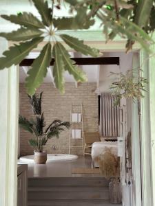 莫沙夫拉莫特Eili Suites的一间有床的房间,里面装有植物