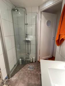 乌洛夫斯特伦Bommarvikens Bed & Breakfast的带淋浴的浴室和玻璃门