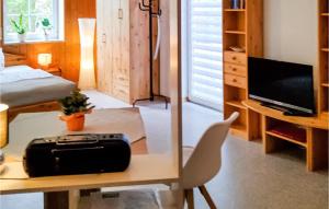 KleingießhübelCozy Apartment In Bad Schandau- Kleing, With Wifi的客房设有书桌、电视和床。