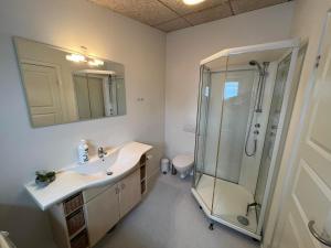 努克Kang Apartment的一间带水槽和淋浴的浴室