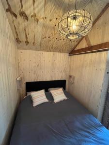 赫伊斯代嫩Eb en Vloed的一个小房间的一个床位,配有吊灯