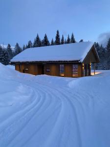 史特林Stryn Mountain Lodge的雪覆盖的小屋,有雪覆盖的道路