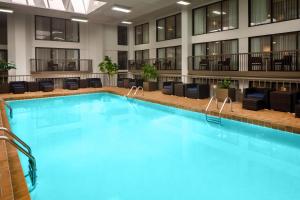 明尼阿波利斯明尼阿波利斯凯悦酒店的酒店大堂的大型游泳池