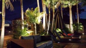 麦克拉伦谷麦克拉伦谷汽车旅馆及公寓的一个带棕榈树和吊床的度假庭院
