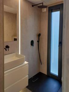 鹿特丹tiny house的浴室配有白色水槽和淋浴。